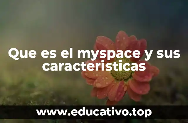 Que es el myspace y sus caracteristicas