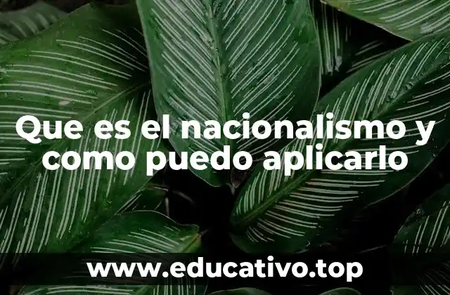 Que es el nacionalismo y como puedo aplicarlo