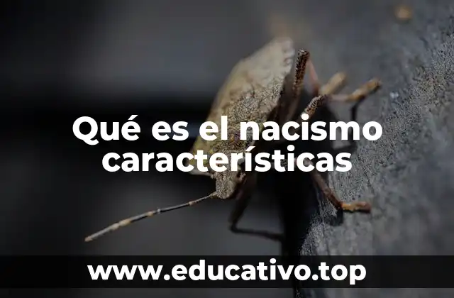 Qué es el nacismo características