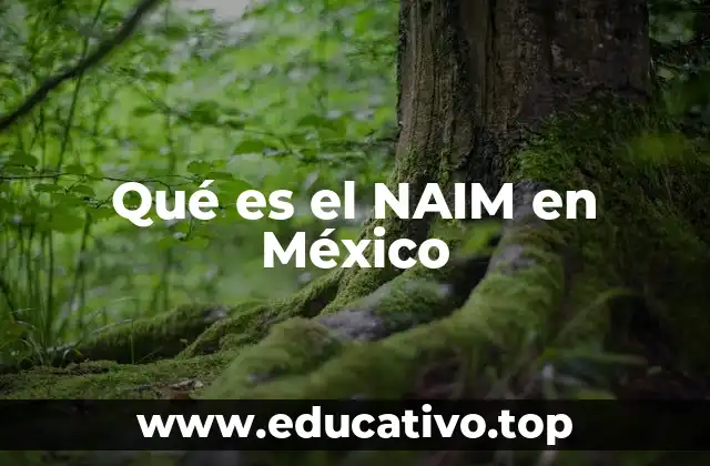Qué es el NAIM en México