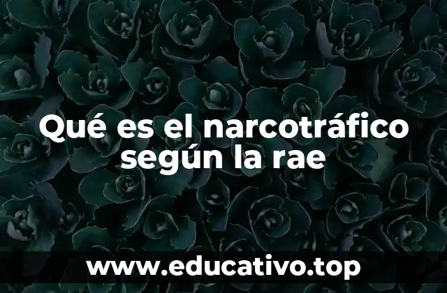 El narcotráfico como fenómeno social y criminal