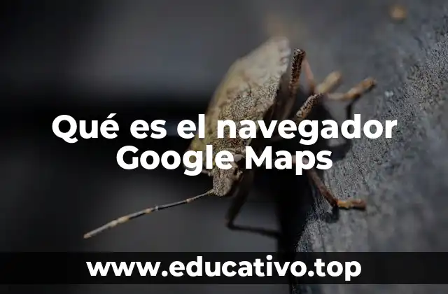 Qué es el navegador Google Maps