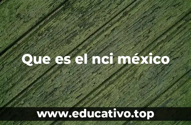 Que es el nci méxico