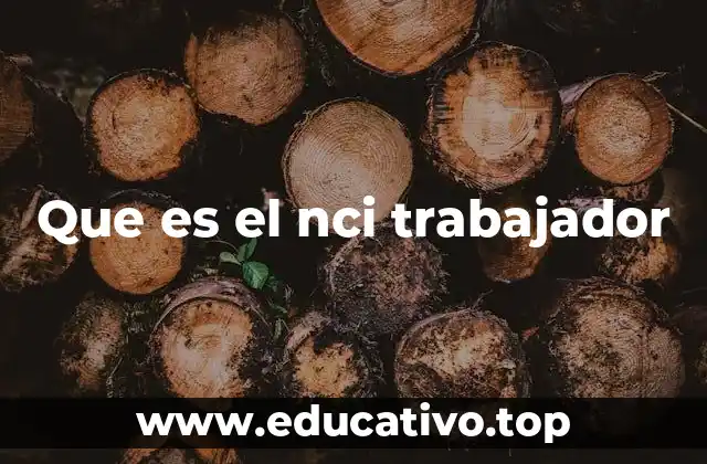Que es el nci trabajador