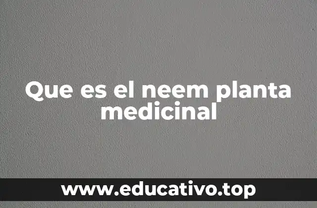 El neem como recurso natural y su relevancia en la salud