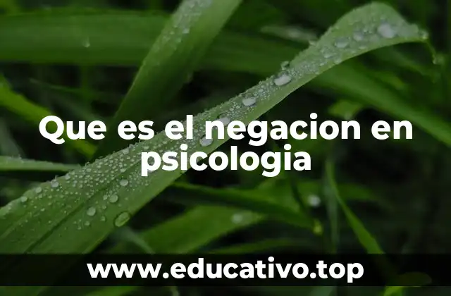 Que es el negacion en psicologia