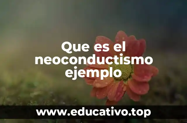 Que es el neoconductismo ejemplo