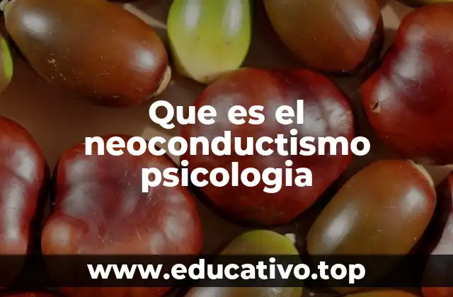 Que es el neoconductismo psicologia
