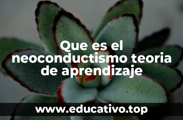 Que es el neoconductismo teoria de aprendizaje