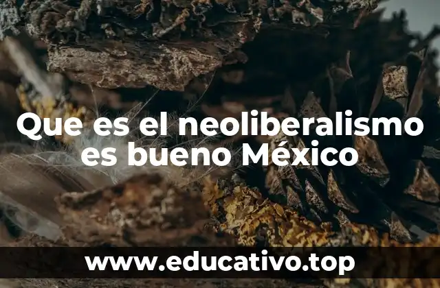 Que es el neoliberalismo es bueno México