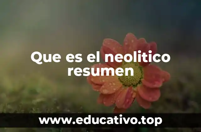 Que es el neolitico resumen