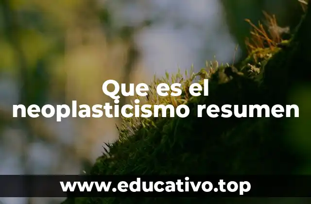 Que es el neoplasticismo resumen