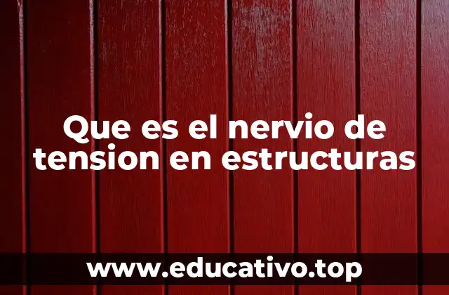 Que es el nervio de tension en estructuras