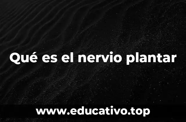 Qué es el nervio plantar