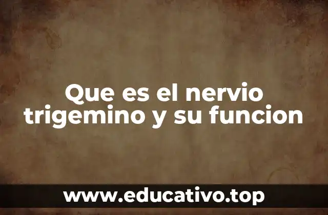 Que es el nervio trigemino y su funcion