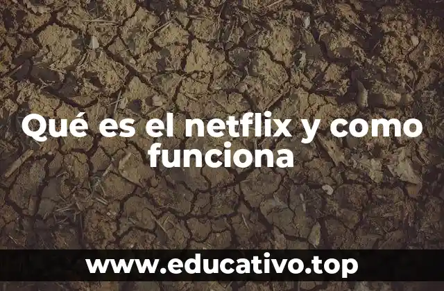 Qué es el netflix y como funciona