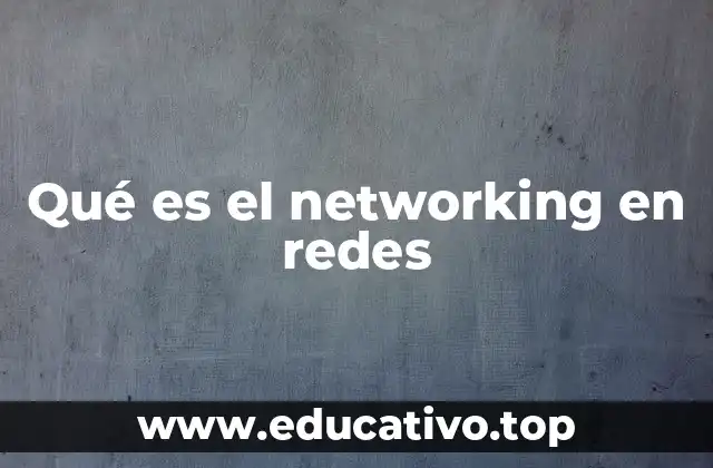 Qué es el networking en redes