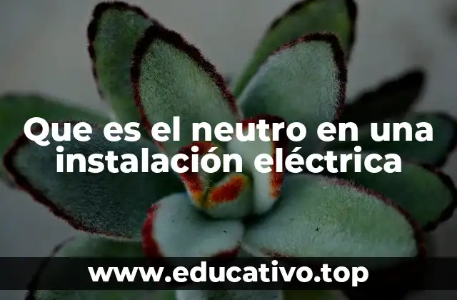 Que es el neutro en una instalación eléctrica