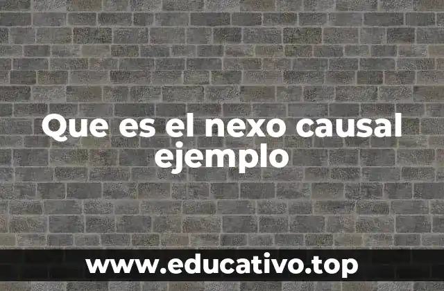 Que es el nexo causal ejemplo