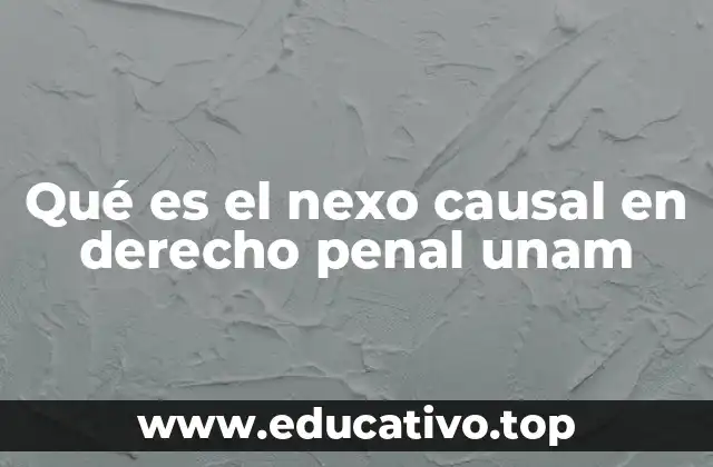 Qué es el nexo causal en derecho penal unam