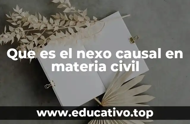 Que es el nexo causal en materia civil