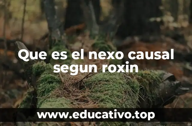 Que es el nexo causal segun roxin
