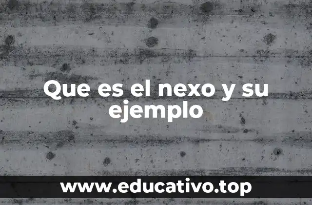 Que es el nexo y su ejemplo