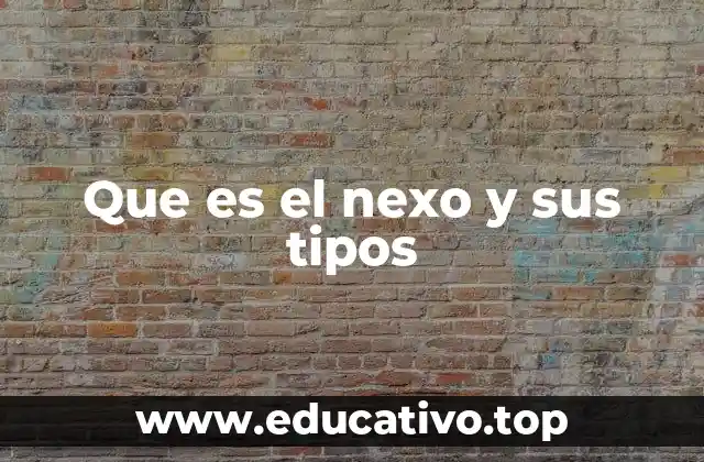 Que es el nexo y sus tipos
