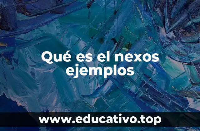 Qué es el nexos ejemplos