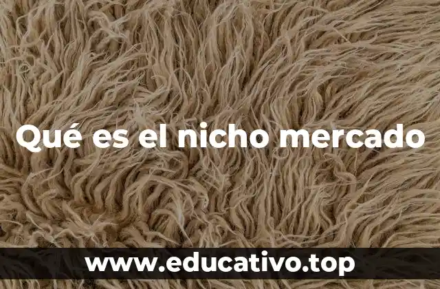 Qué es el nicho mercado