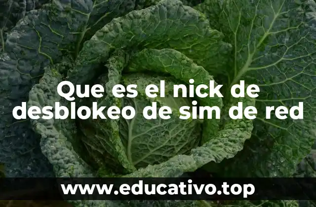 Que es el nick de desblokeo de sim de red