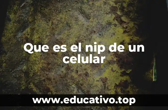 Que es el nip de un celular