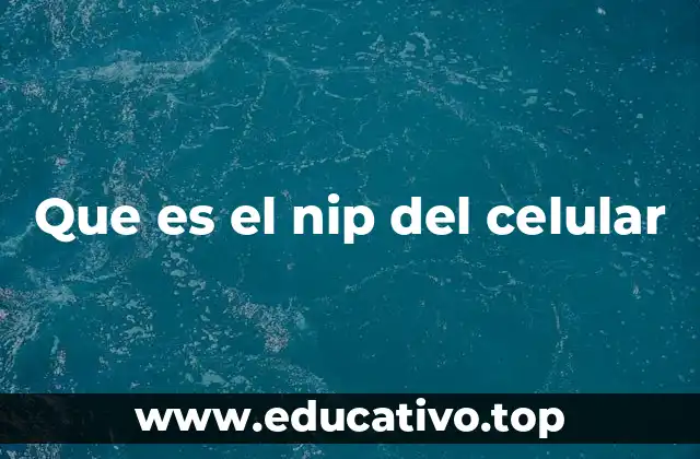 Que es el nip del celular