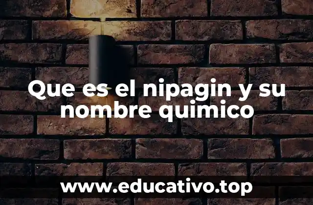 Que es el nipagin y su nombre quimico