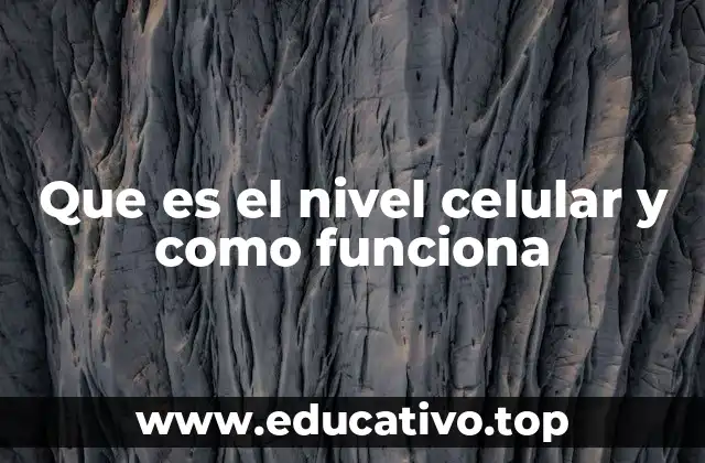 Que es el nivel celular y como funciona