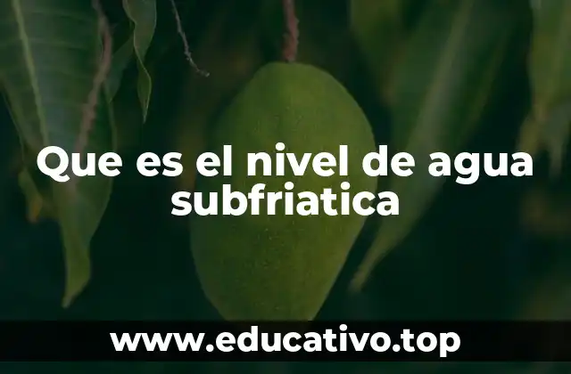 Que es el nivel de agua subfriatica