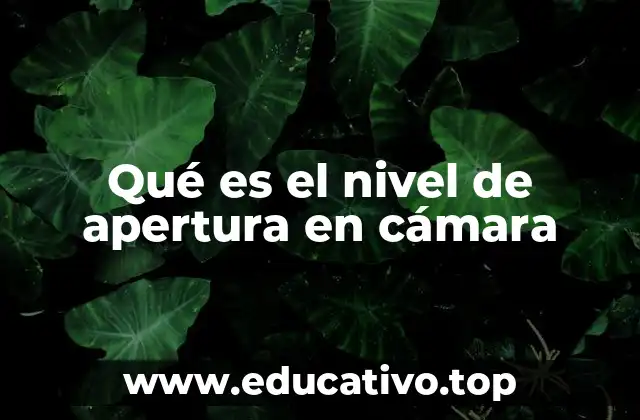 Qué es el nivel de apertura en cámara