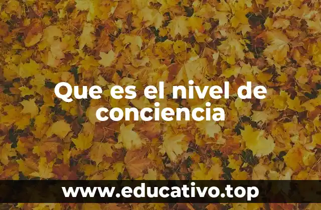 Que es el nivel de conciencia