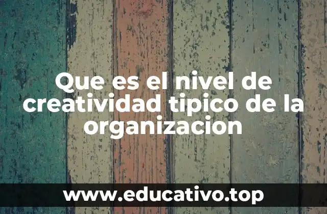 Que es el nivel de creatividad tipico de la organizacion