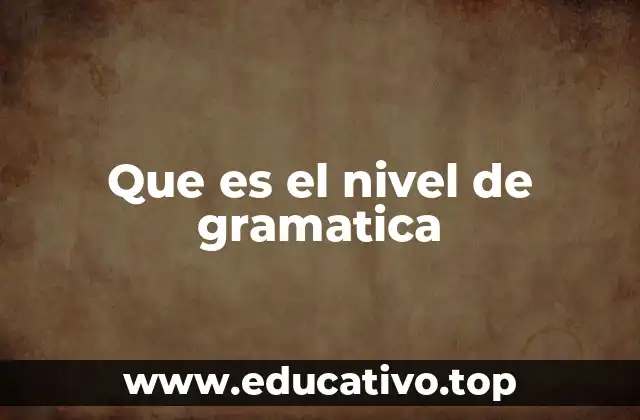 Que es el nivel de gramatica