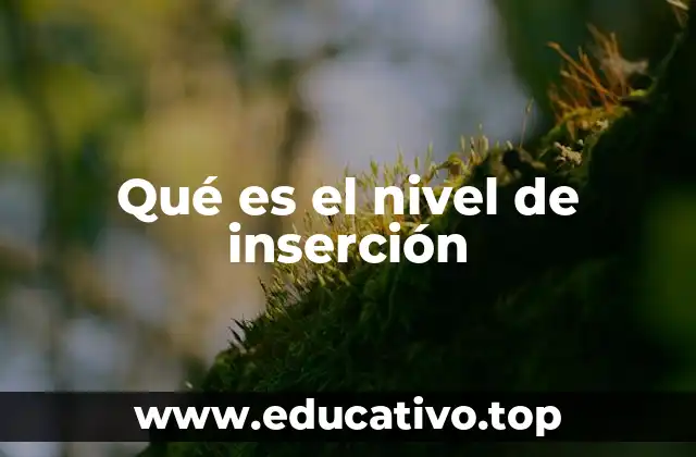 Qué es el nivel de inserción