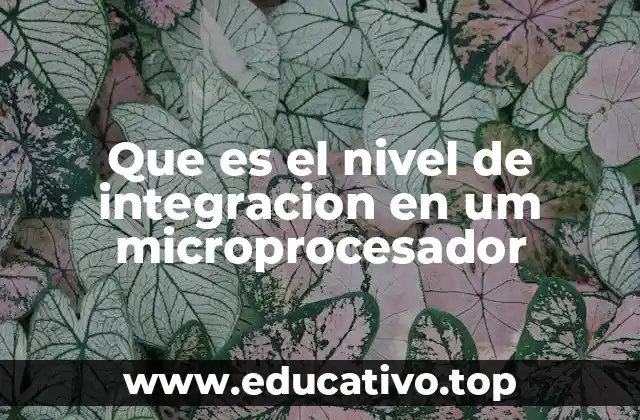 Que es el nivel de integracion en um microprocesador
