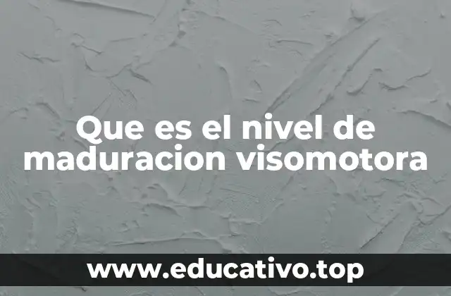 Que es el nivel de maduracion visomotora