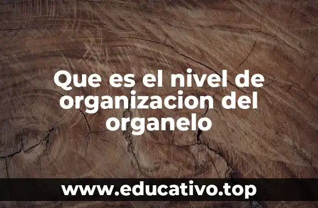 Que es el nivel de organizacion del organelo
