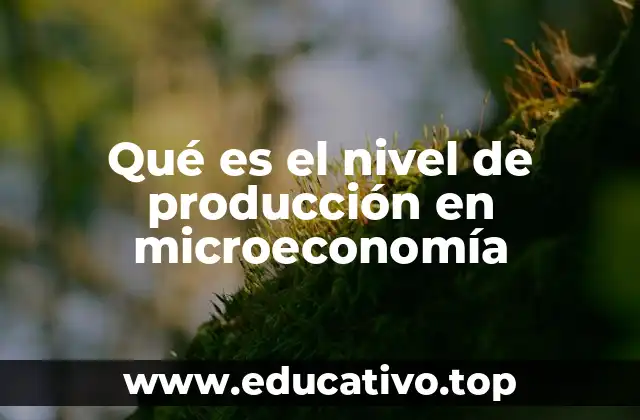 Qué es el nivel de producción en microeconomía