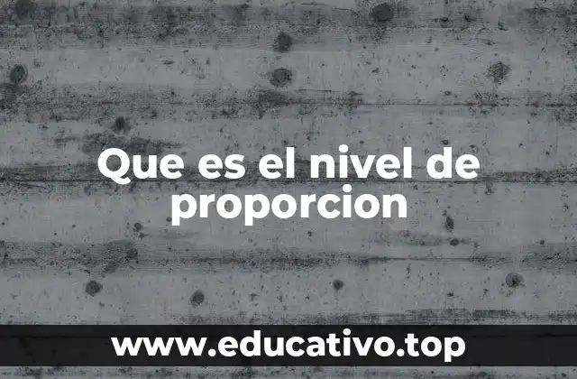 Que es el nivel de proporcion