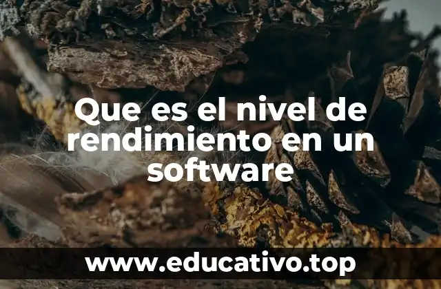 Que es el nivel de rendimiento en un software