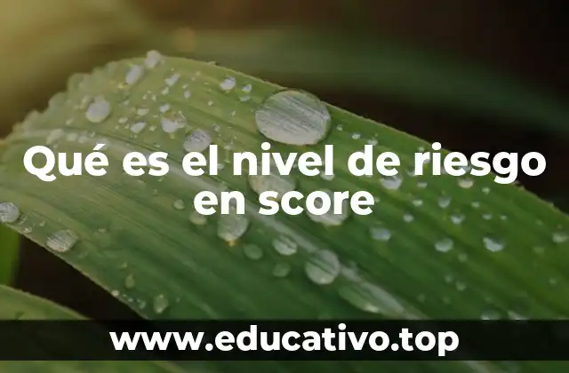 Qué es el nivel de riesgo en score