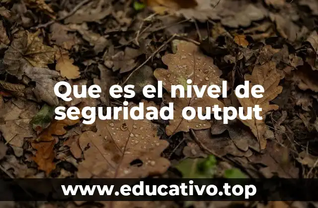 Que es el nivel de seguridad output