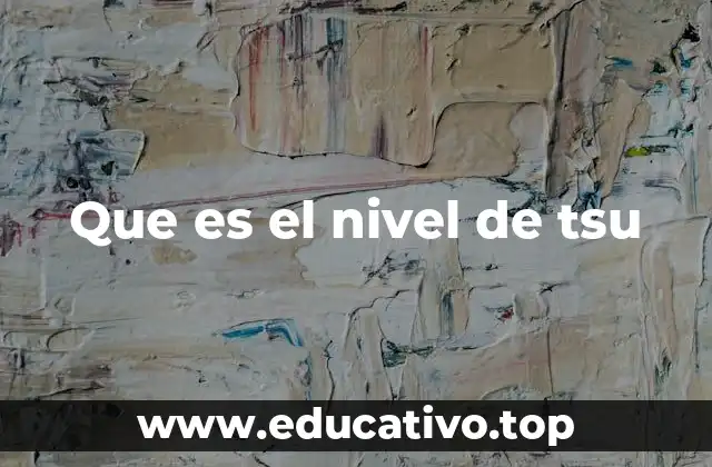 Que es el nivel de tsu